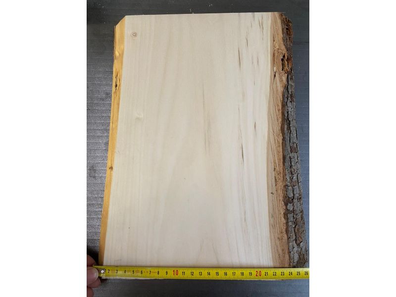 Pezzo unico in legno massiccio di tiglio con corteccia, per pirografia, 25x33 cm