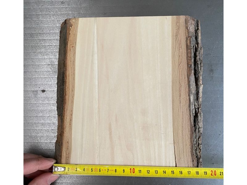 Pieza nico de madera maciza de tilo con corteza, para pirograbado, 18x20 cm