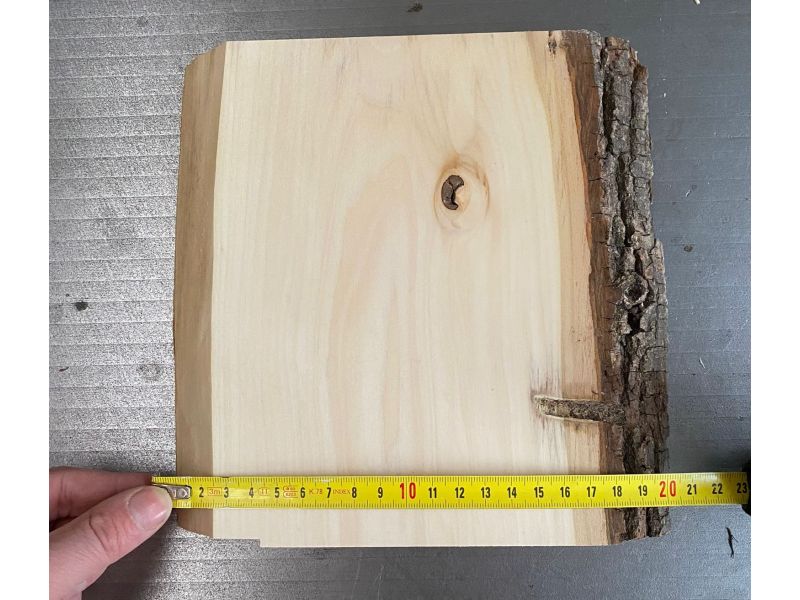 Pezzo unico in legno massiccio di tiglio con corteccia, per pirografia, 20x20 cm