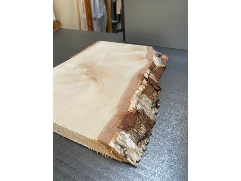 Pezzo unico, in legno massiccio di BETULLA con smussi e corteccia, 23x39 cm