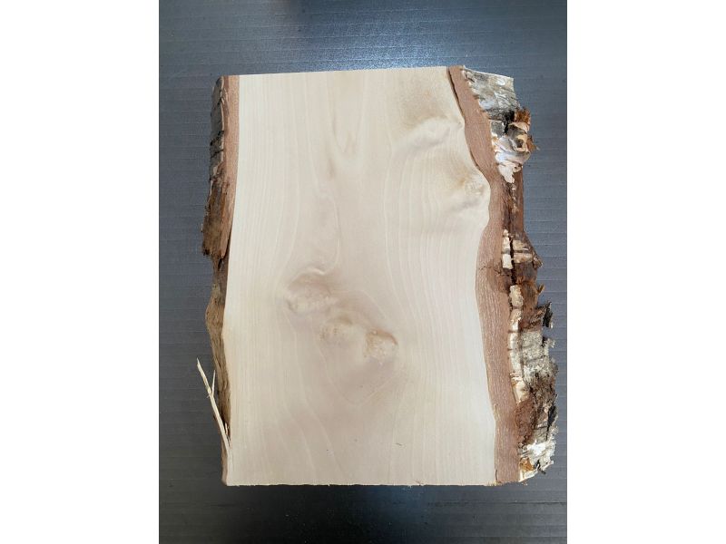 Pice unique, en bois de BOULEAU massif avec biseaux et corce, 23x39 cm, pour pyrogravure