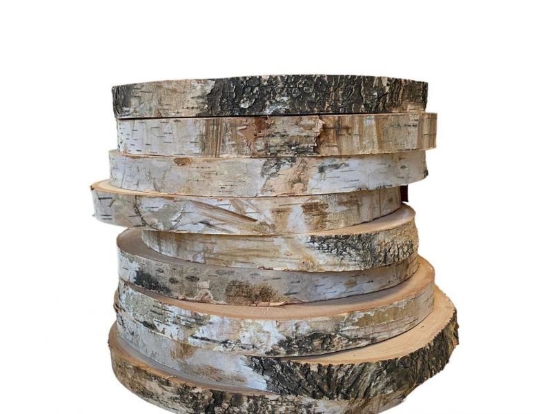 Pezzo vario in legno massiccio di Betulla con corteccia disco da 23-26 cm, per pirografia