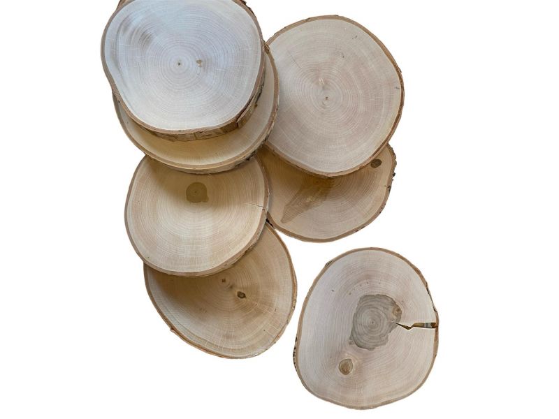 Pezzo vario in legno massiccio di Betulla con corteccia disco da 23-26 cm, per pirografia