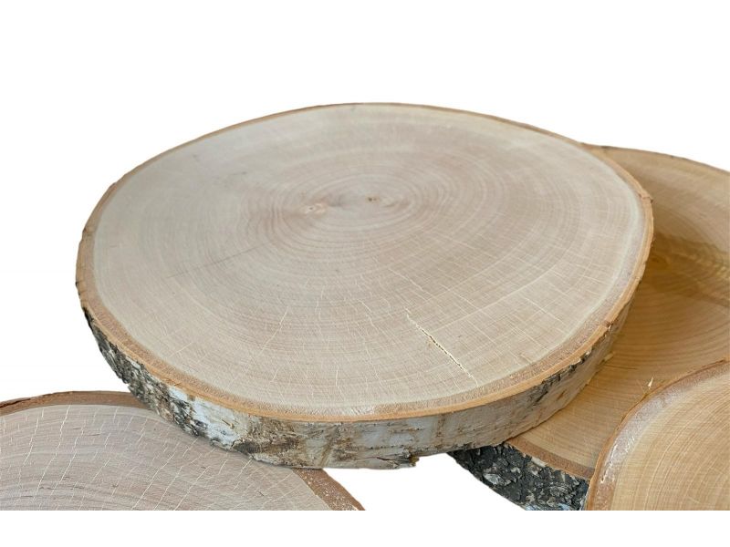 Pice diverse en bois de bouleau massif avec corce disque de 23-26 cm, pour pyrogravure