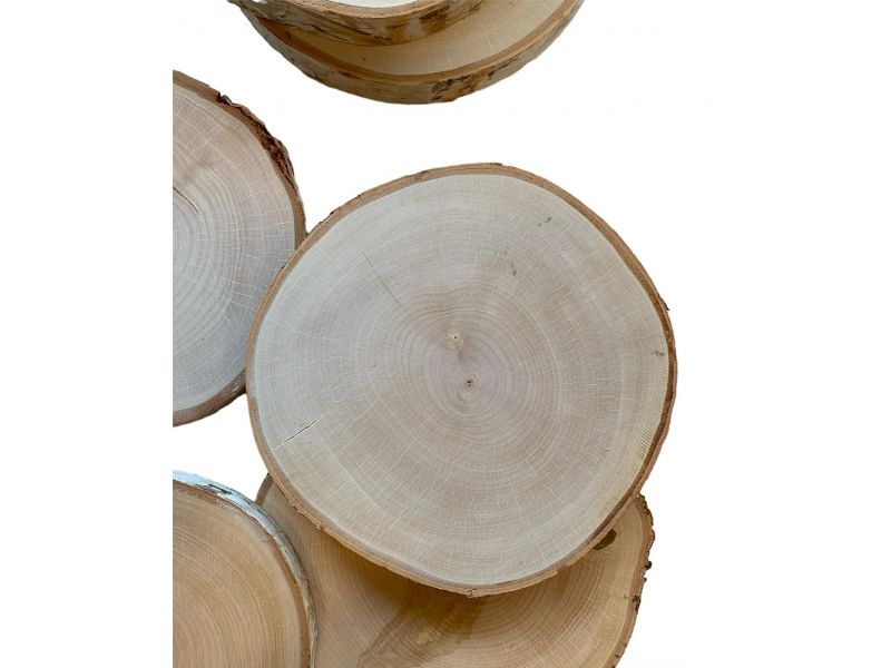 Varias piezas de madera maciza de abedul con corteza, disco de 23-26 cm, para pirograbado