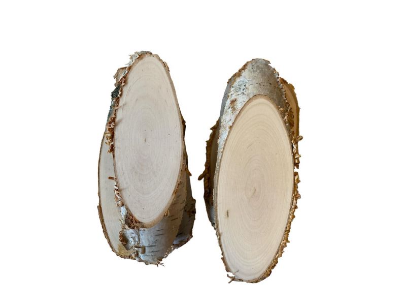 Varias piezas ovaladas de madera maciza de abedul con corteza de 6-7 x 16-17 cm h para pirograbado