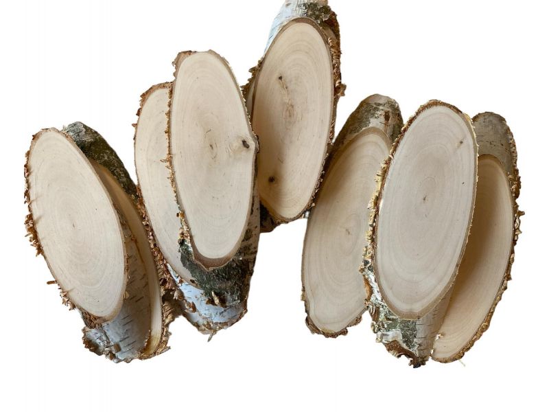 Varias piezas ovaladas de madera maciza de abedul con corteza de 6-7 x 16-17 cm h para pirograbado