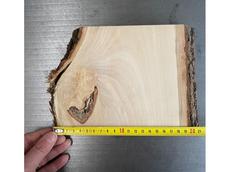 Einzigartiges Stck aus massivem Lindenholz mit Rinde, fr die Brandmalerei, 20x15,5 cm