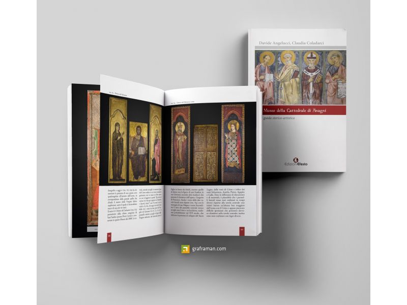 Il museo della cattedrale di Anagni. La guida storico artistica