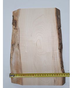Pezzo unico in legno massiccio di acero con corteccia, per pirografia, 23,5x33 cm
