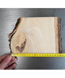Pieza nico de madera maciza de tilo con corteza, para pirograbado, 20x15,5 cm