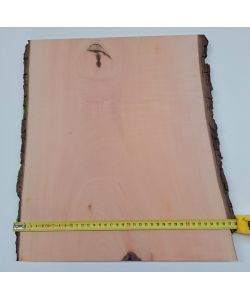 Pezzo unico in legno massiccio di pero con corteccia, per pirografia, 37x42 cm